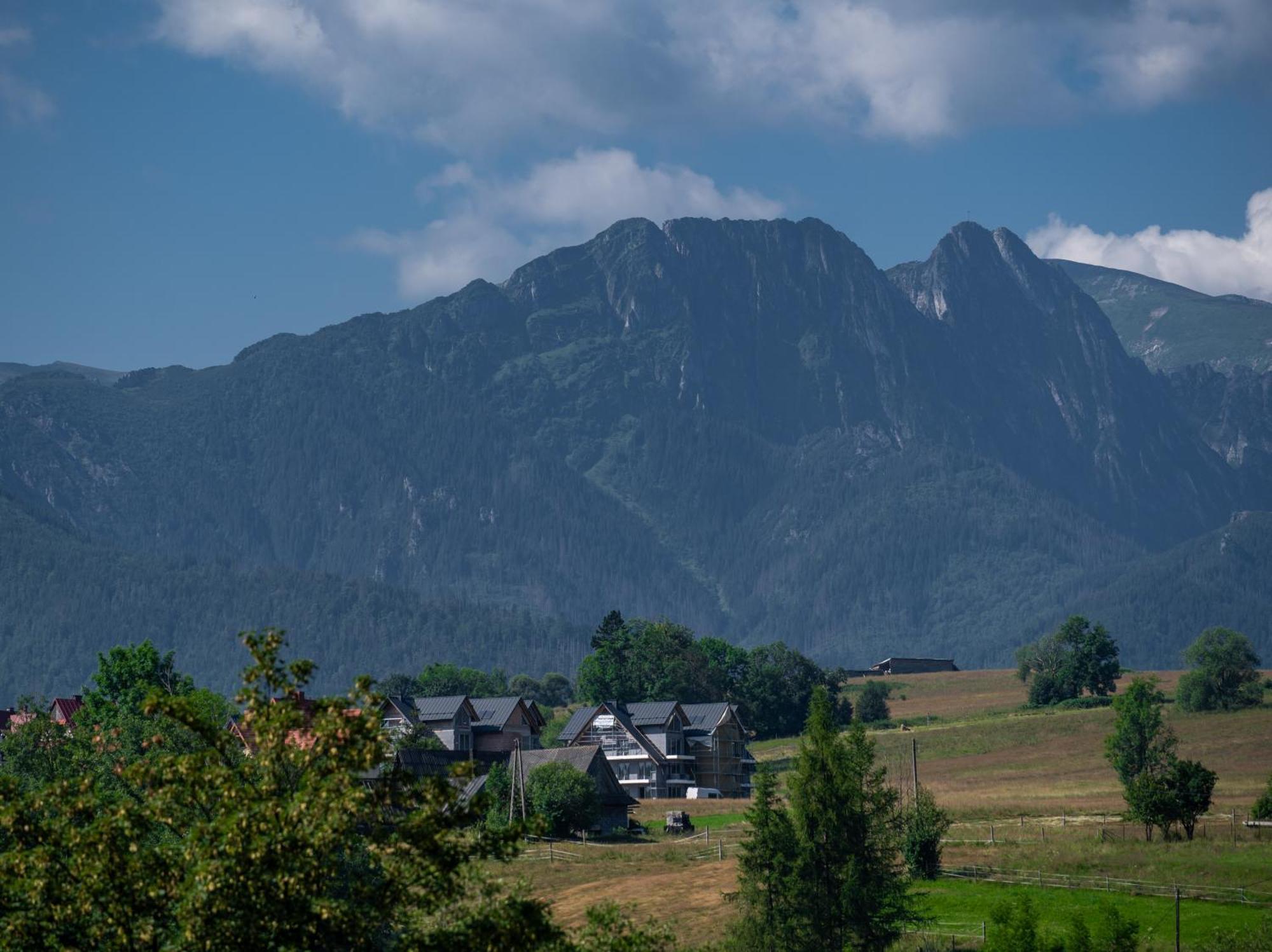 Villa Zacisze Galicove Zakopane Exterior foto