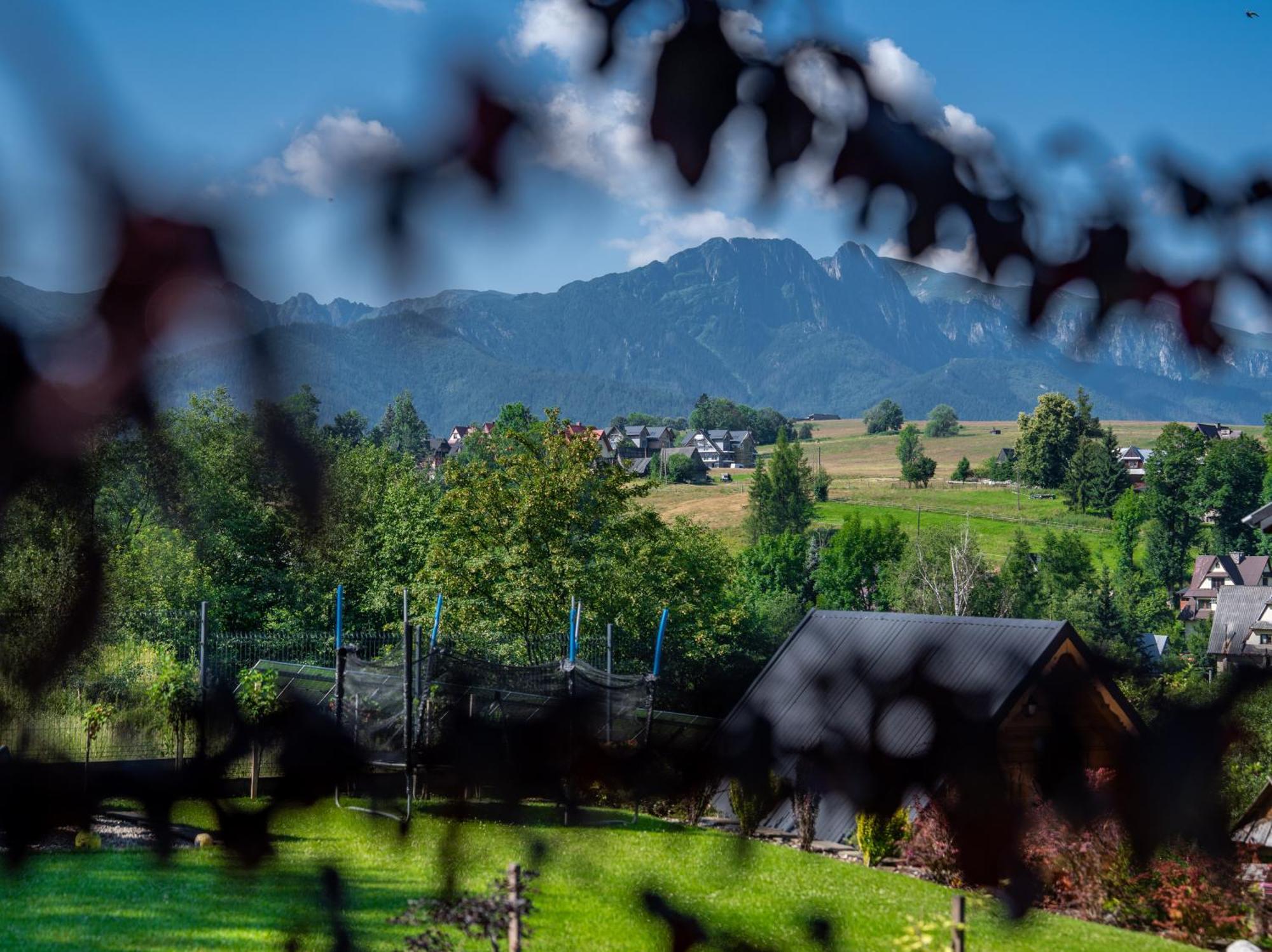 Villa Zacisze Galicove Zakopane Exterior foto